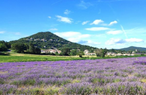 Gd Maison - Jardin - salle de jeux - confort - Vue lavandes et montagnes